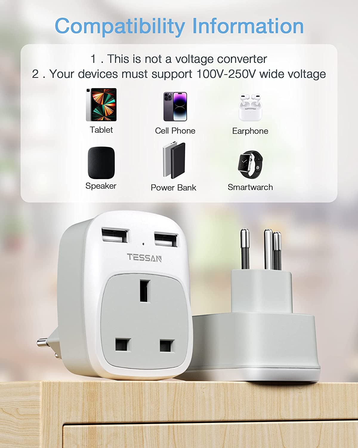 UK to Switzerland Plug Adapter with 2 USB